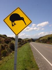 Irgendwo in Neuseeland (1): Hier gibt es Kiwis...